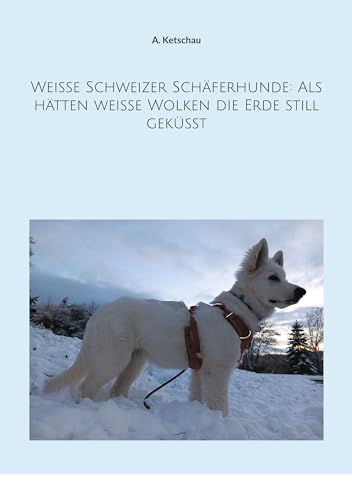 Weiße Schweizer Schäferhunde: Als hätten weiße Wolken die Erde still geküsst