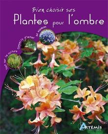 Bien choisir ses plantes pour l'ombre