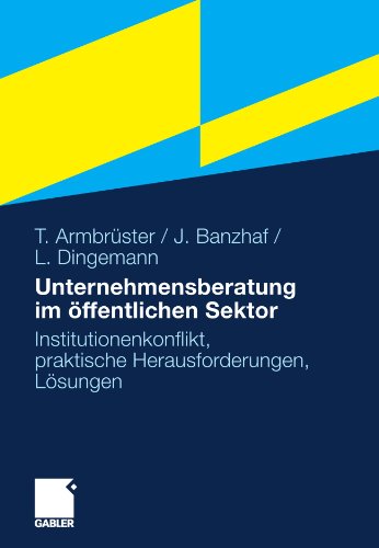 Unternehmensberatung im öffentlichen Sektor: Institutionenkonflikt, praktische Herausforderungen, Lösungen (German Edition)