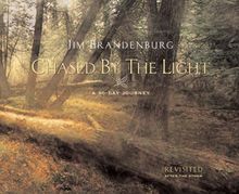 Chased by the Light: Revisited After the Storm