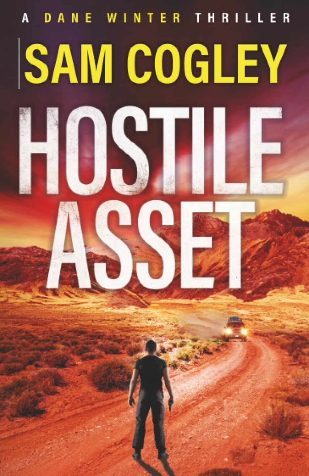 Hostile Asset - Neuware