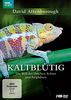David Attenborough: Kaltblütig - Die Welt der Drachen, Echsen und Amphibien [2 DVDs]