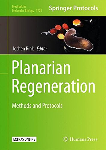 Planarian Regeneration: Methods and Protocols (Methods in Molecular Biology, Band 1774)