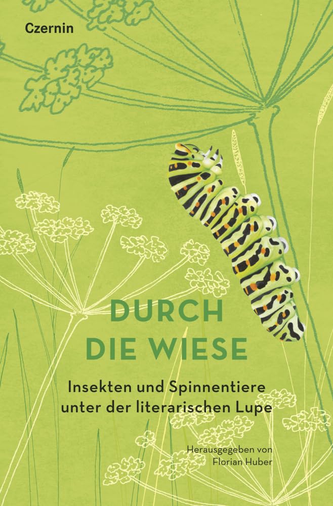 Durch die Wiese: Insekten und Spinnentiere unter der literarischen Lupe