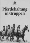 Pferdehaltung in Gruppen