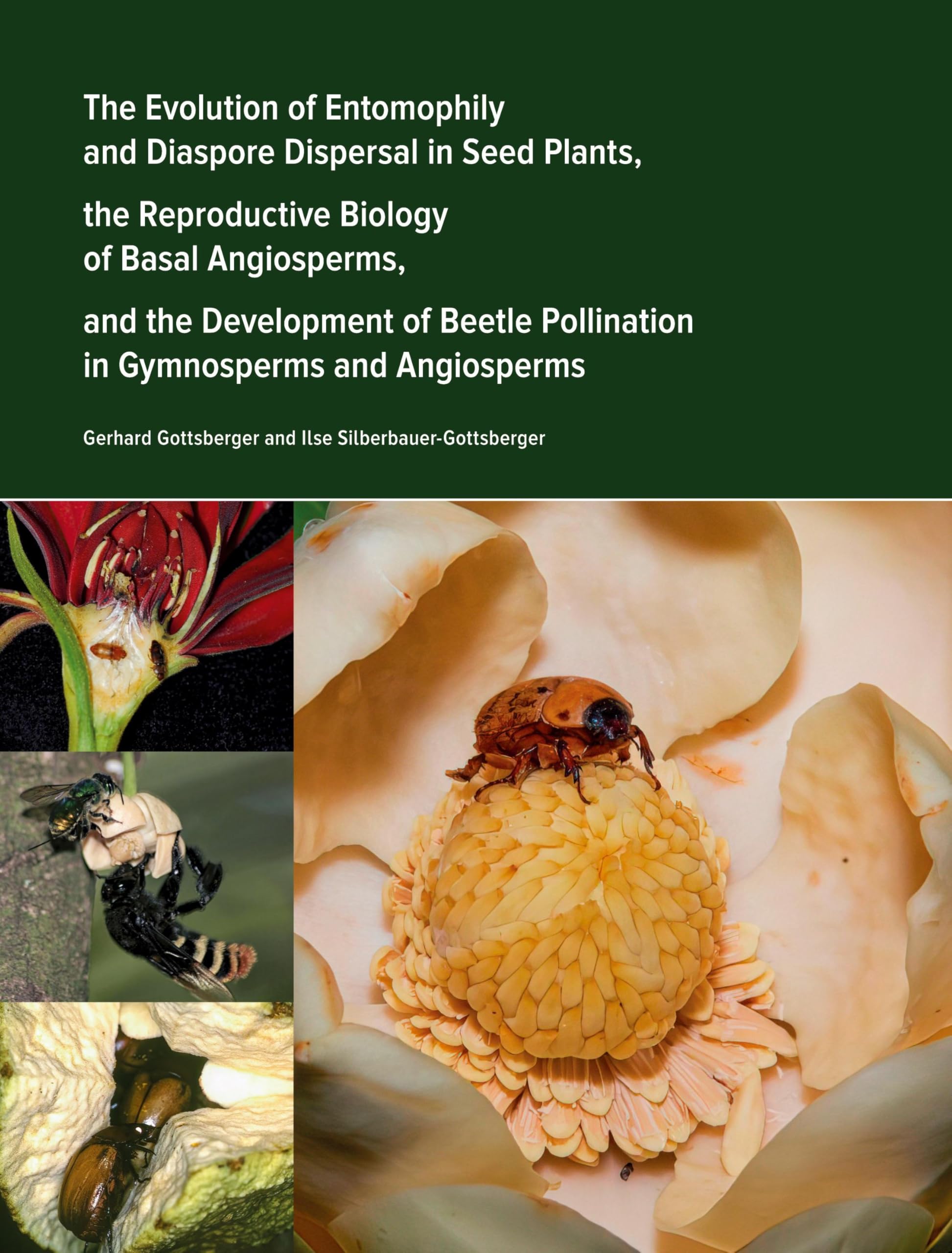 The Evolution of Entomophily and Diaspore Dispersal in Seed Plants, the Reproductive Biology of Basal Angiosperms, and the Development of Beetle ... systems) during the last 400 million years.