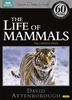 The Life of Mammals (Repackaged) [4 DVDs] [UK Import]