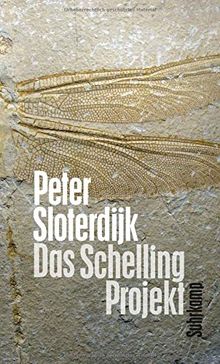 Das Schelling-Projekt: Bericht
