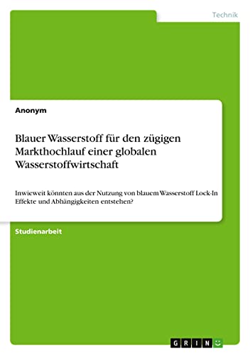 Blauer Wasserstoff für den zügigen Markthochlauf einer globalen Wasserstoffwirtschaft: Inwieweit könnten aus der Nutzung von blauem Wasserstoff Lock-In Effekte und Abhängigkeiten entstehen?