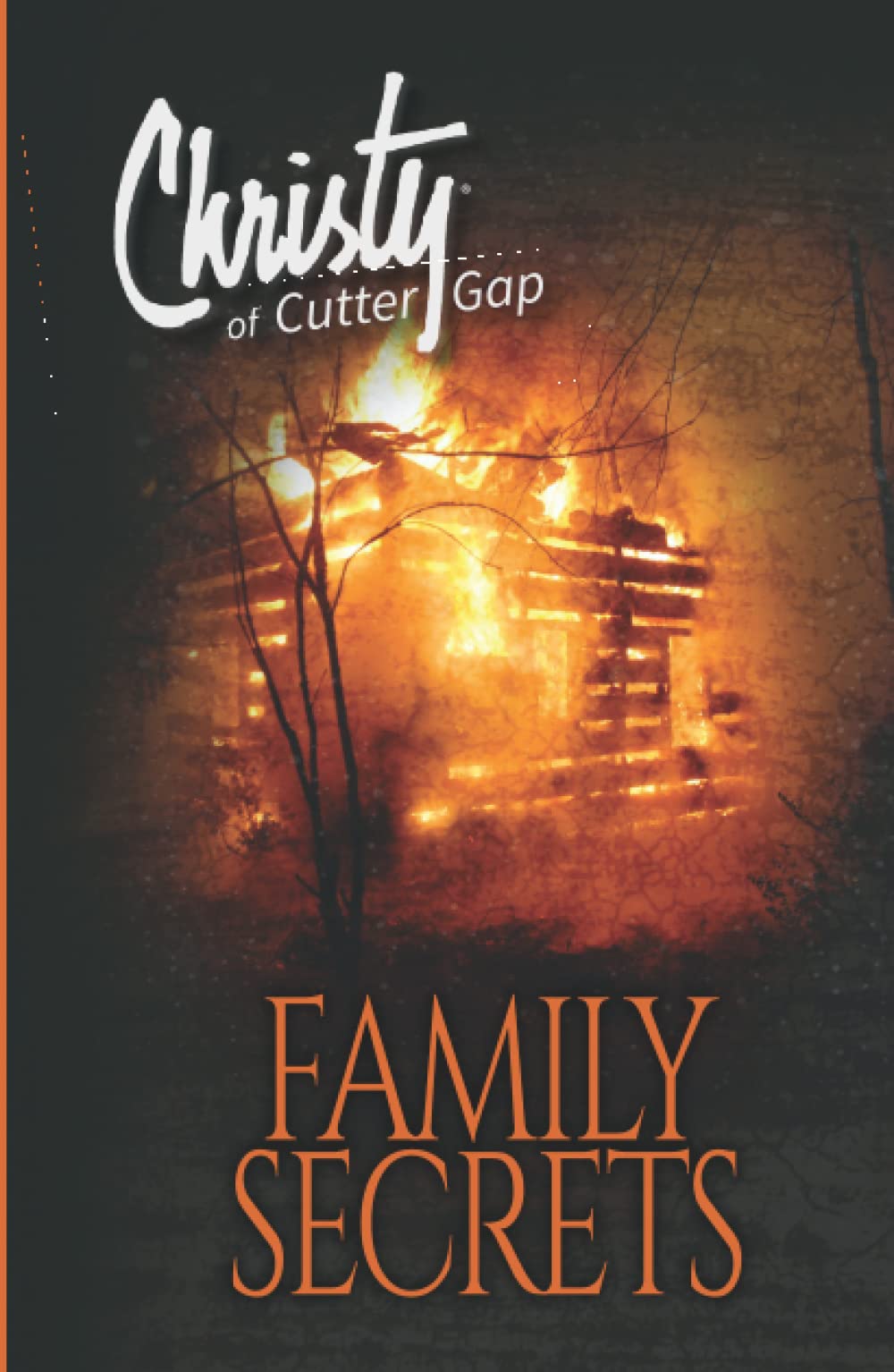 Family Secrets (Christy of Cutter Gap, Band 8)