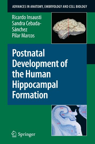 Postnatal Development of the Human Hippocampal Formation (Advances in Anatomy, Embryology and Cell Biology)