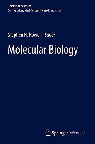 Molecular Biology (The Plant Sciences)