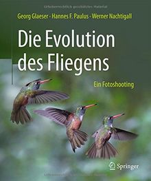 Die Evolution des Fliegens - Ein Fotoshooting