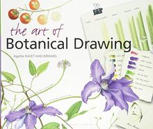 The Art of Botanical Drawing