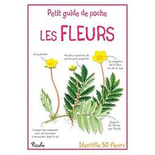 Les fleurs : identifie 50 fleurs