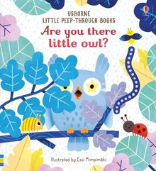 Are You There Little Owl? (Little Peep-Through Books)