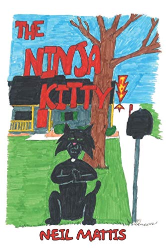 The Ninja Kitty
