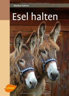Esel halten von Hafner, Marisa | Buch | Zustand sehr gut