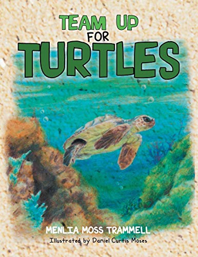 Team Up For Turtles