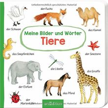 Meine Bilder und Wörter - Tiere