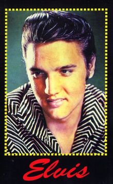 Elvis - The Story of the Undisputed King of Rock & Roll [VHS]