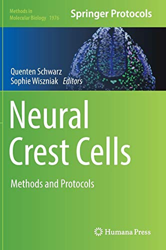 Neural Crest Cells: Methods and Protocols (Methods in Molecular Biology, Band 1976)
