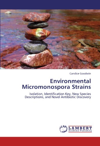 Environmental Micromonospora Strains: Isolation, Identification Key, New Species Descriptions, and Novel Antibiotic Discovery