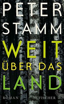 Weit über das Land: Roman