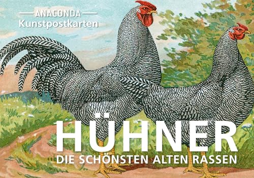 Die Buchhandlung in Oelde hat das Buch Postkarten-Set Hühner: 18 Kunstpostkarten aus hochwertigem Karton. ca. 0,28€ pro Karte (Anaconda Postkarten, Band 85)