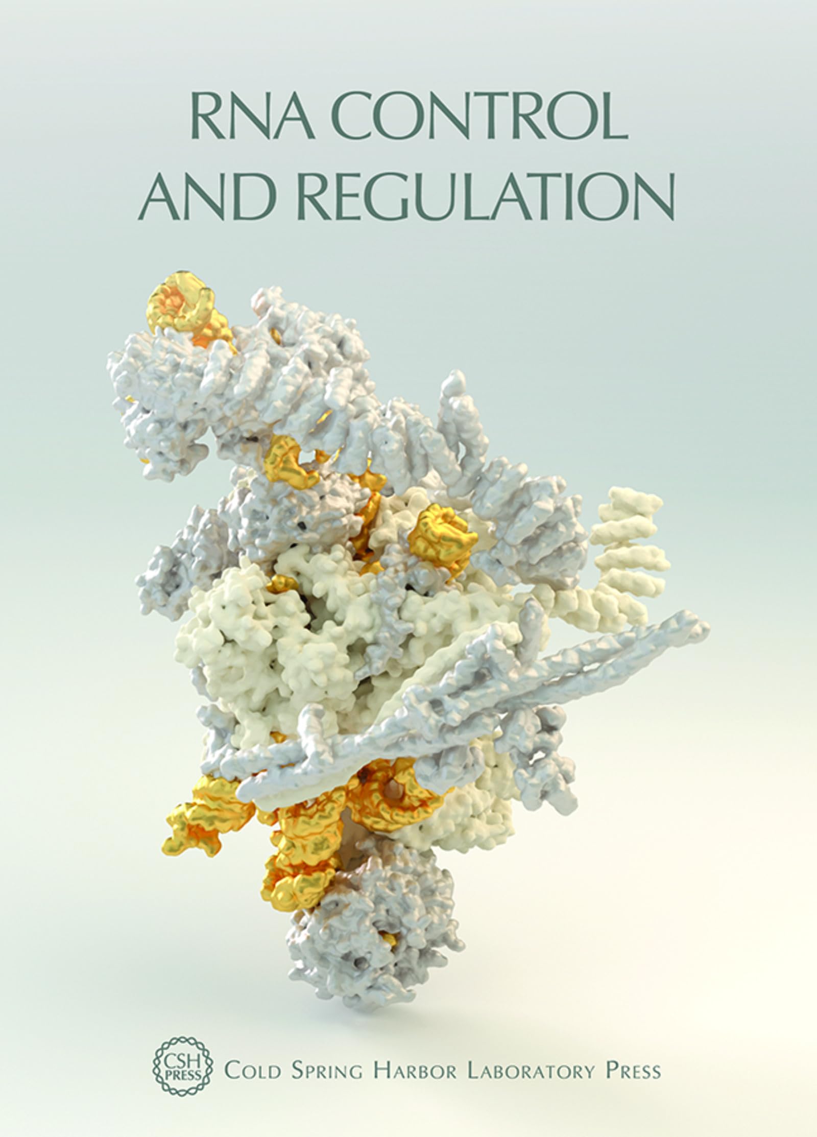 RNA Control and Regulation: (Cold Spring Harbor Symposia on Quantitative Biology LXXXIV) (Symposium Proceedings, Band 84)