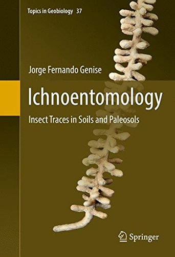 Ichnoentomology: Insect Traces in Soils and Paleosols (Topics in Geobiology)