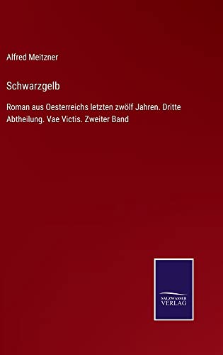 Schwarzgelb: Roman aus Oesterreichs letzten zwölf Jahren. Dritte Abtheilung. Vae Victis. Zweiter Band