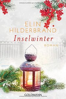 Inselwinter: Roman