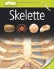 memo Wissen entdecken, Band 82: Skelette, mit Riesenposter!