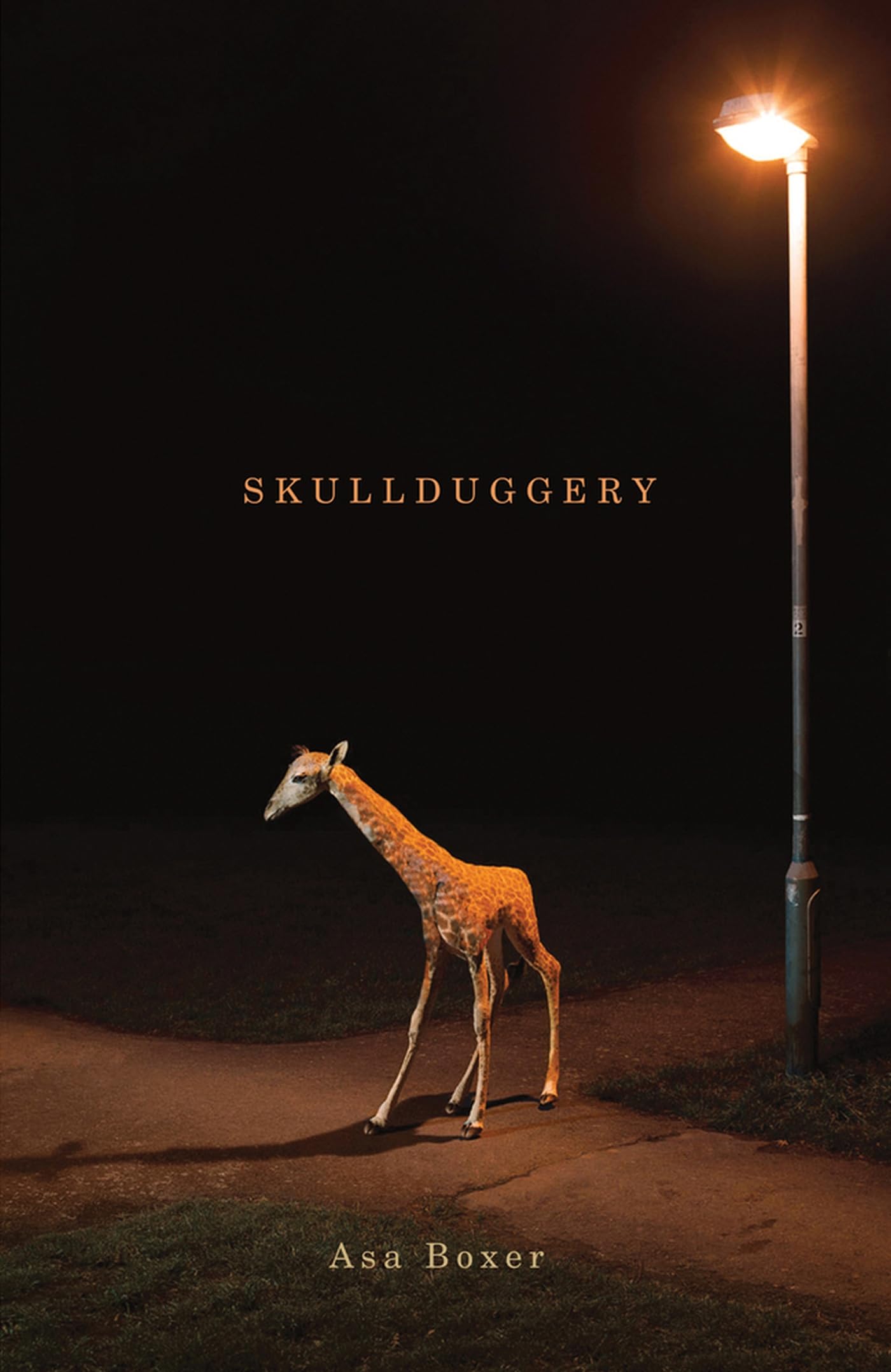 Skullduggery (Signal Editions)