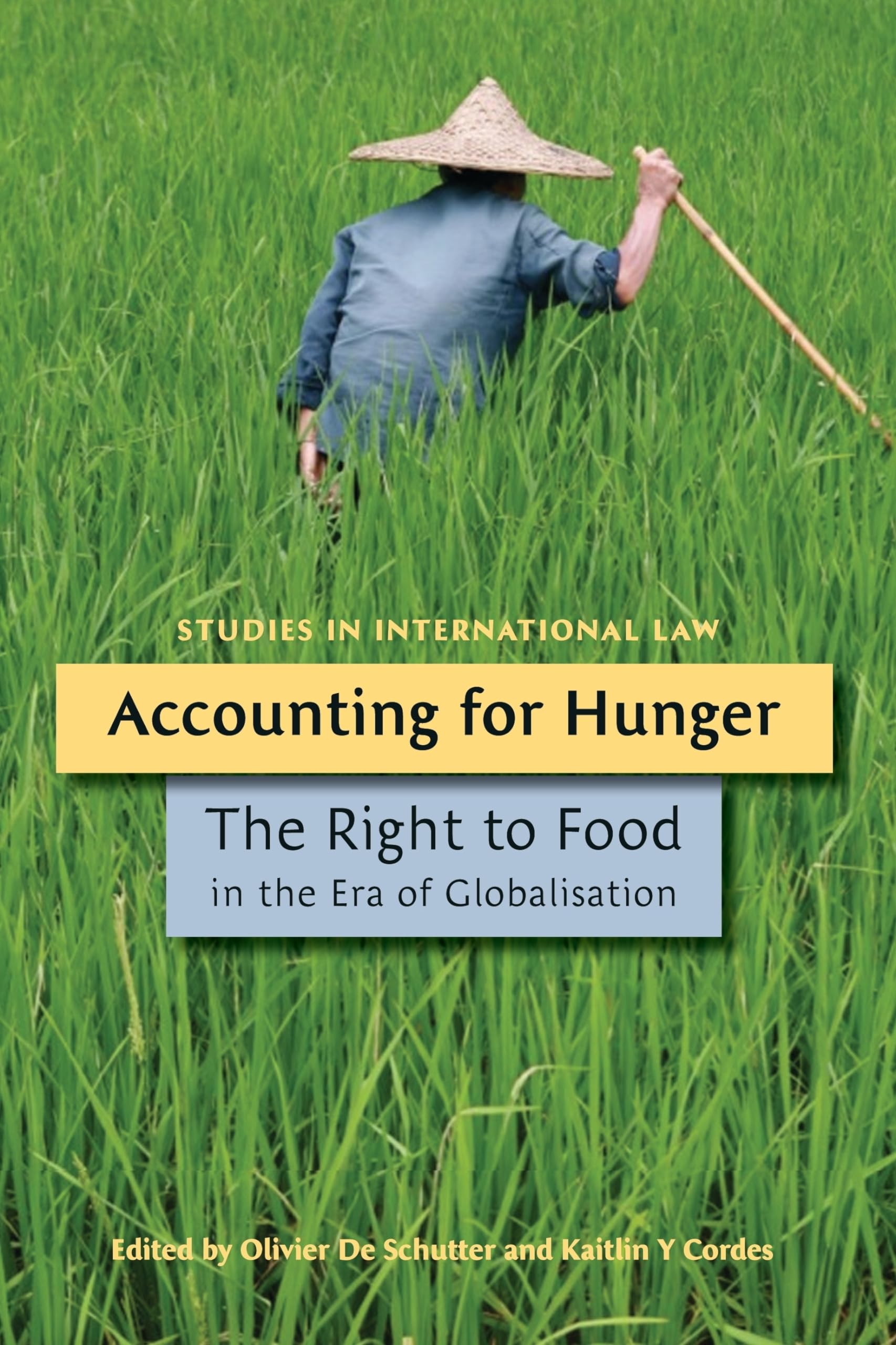 Accounting for Hunger: The Right to Food in the Era of Globalisation (Studies in International Law)