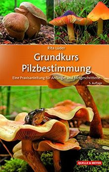 Grundkurs Pilzbestimmung: Eine Praxisanleitung für Anfänger und Fortgeschrittene