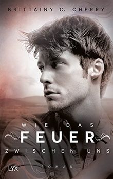 Wie das Feuer zwischen uns (Romance Elements, Band 2)