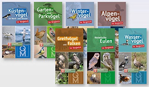 Bestimmungskarten-Set „Vögel“ (Quelle & Meyer Bestimmungskarten)