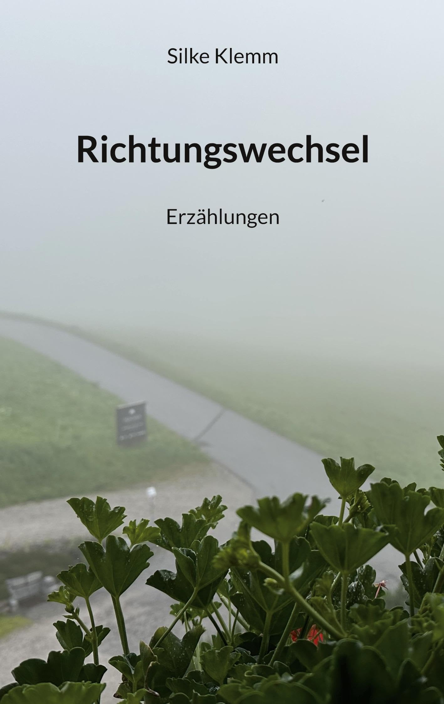 Richtungswechsel: Erzählungen