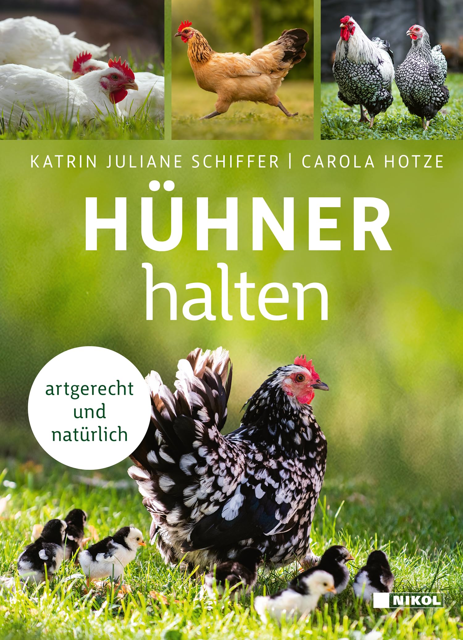 Hühner halten: artgerecht und natürlich
