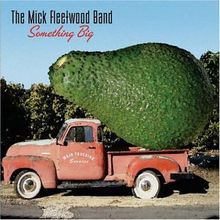 Something Big de The Mick Fleetwood Band | CD | état très bon