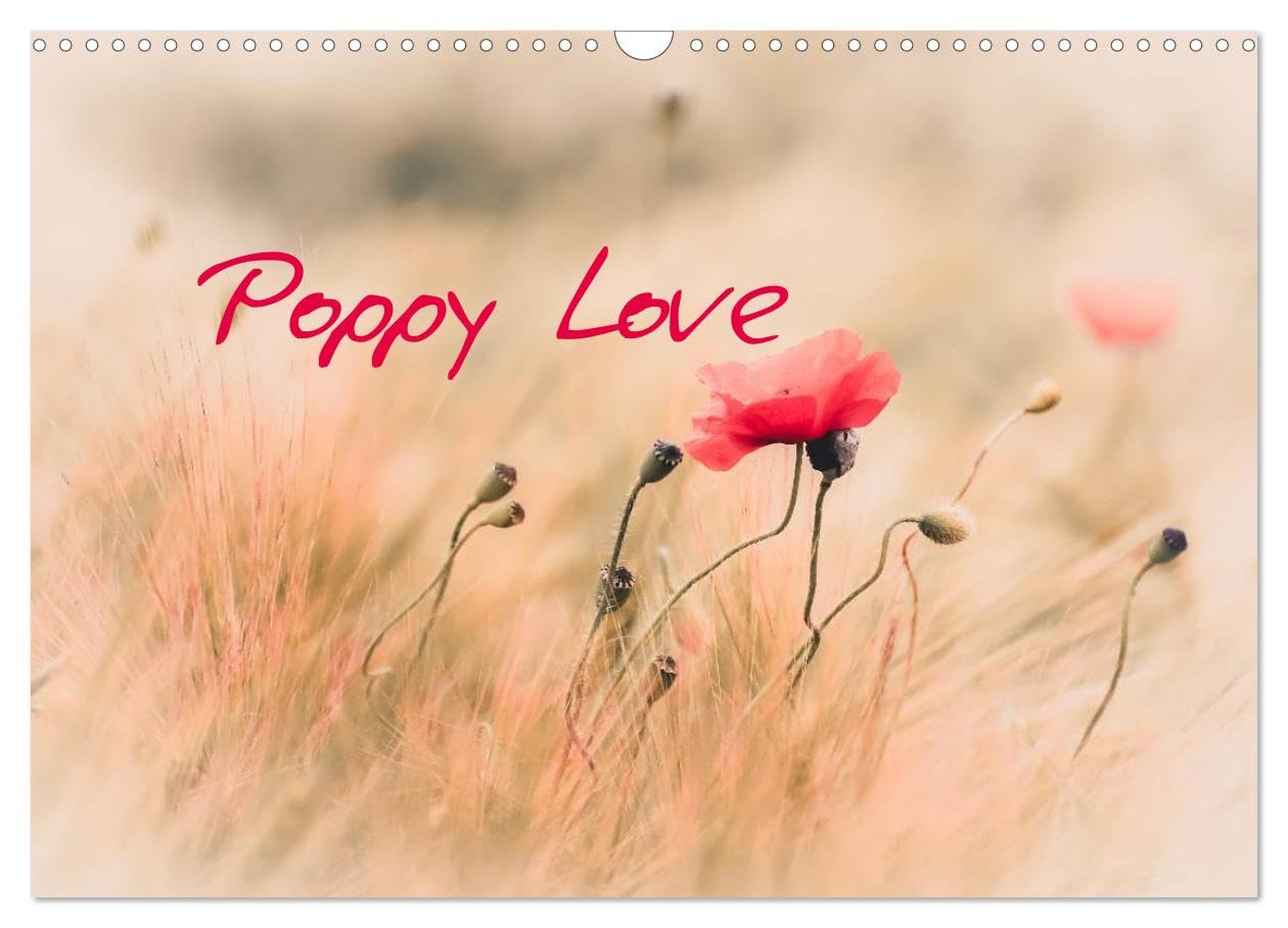 Poppy Love (Wall Calendar 2026 DIN A3 landscape), CALVENDO 12 Month Wall Calendar: Adorable poppy flowers