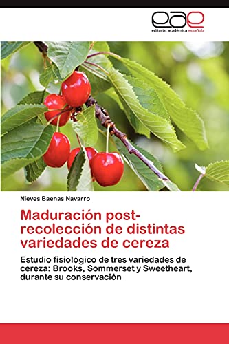 Maduración post-recolección de distintas variedades de cereza: Estudio fisiológico de tres variedades de cereza: Brooks, Sommerset y Sweetheart, durante su conservación