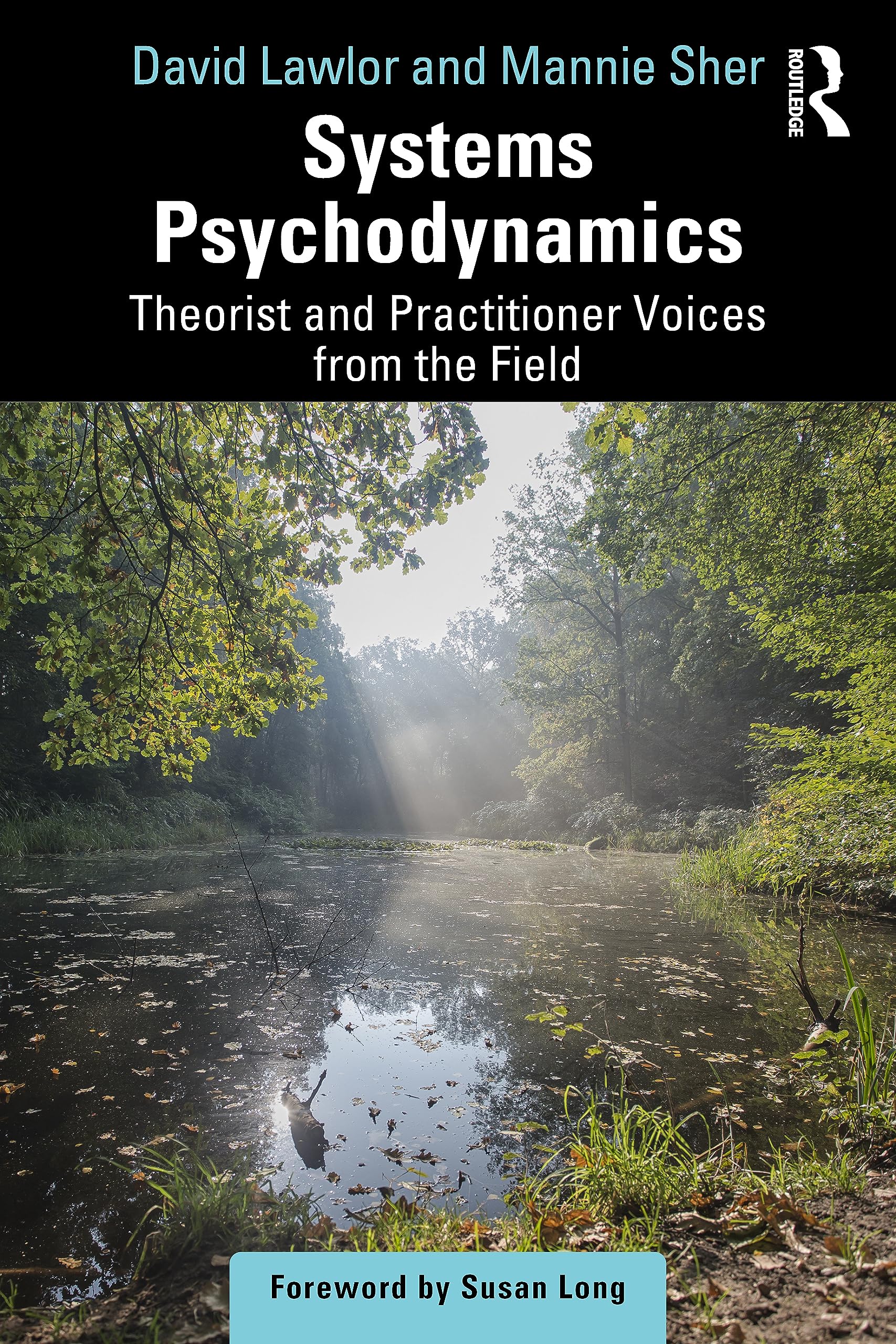 David Lawlor Systems Psychodynamics, Theorist And Practitioner Voices From The Field