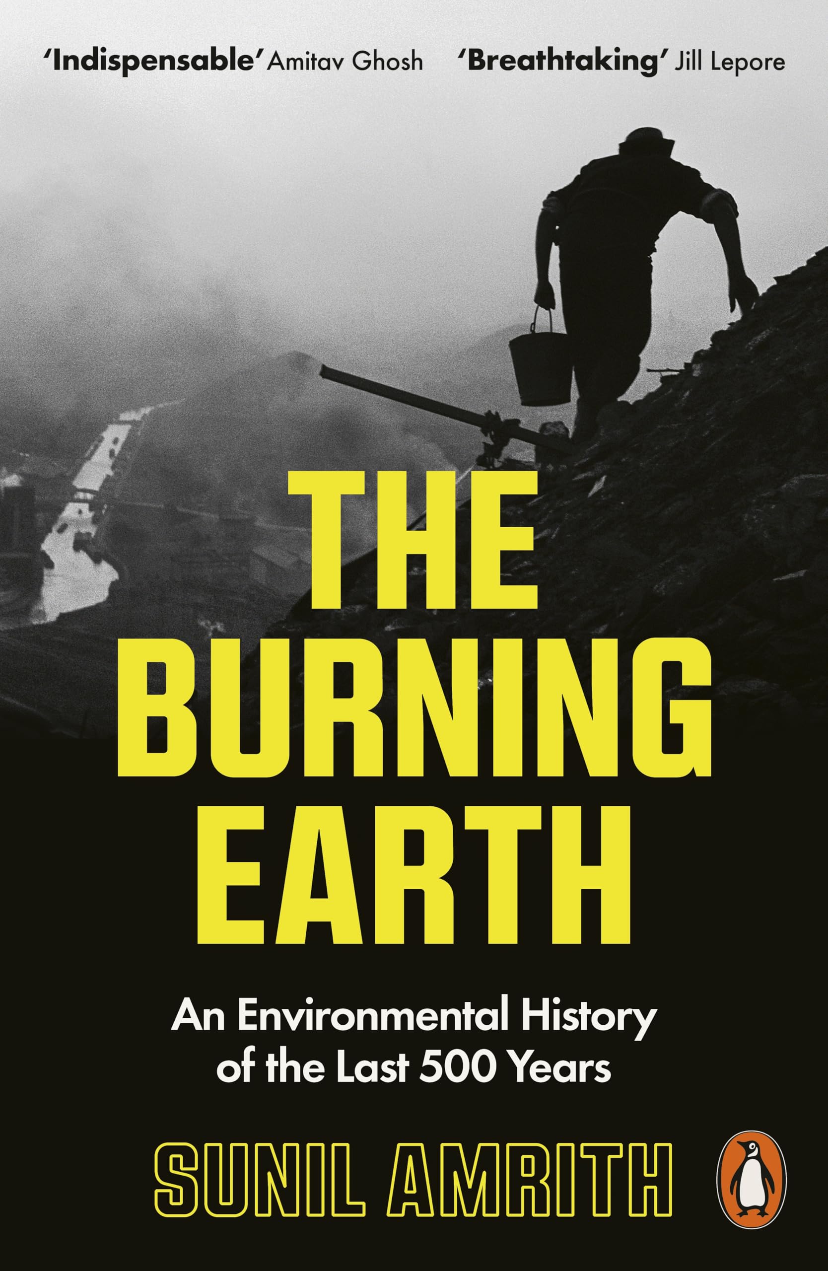 Sunil Amrith The Burning Earth, An Environmental History Of The Last 500 Years