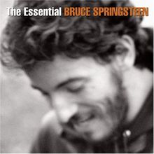 The Essential von Springsteen,Bruce | CD | Zustand sehr gut