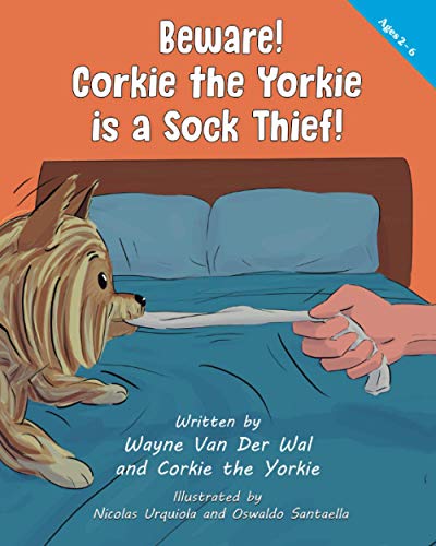 Corkie the Yorkie is a Sock Thief!