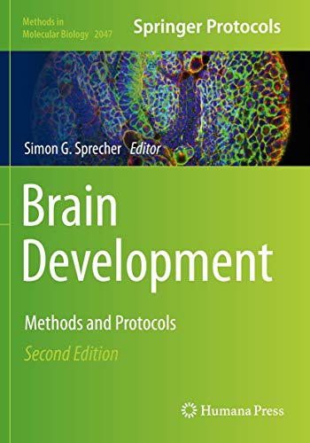 Brain Development: Methods and Protocols (Methods in Molecular Biology, 2047, Band 2047)
