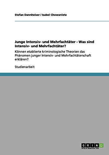 Junge Intensiv- und Mehrfachtäter - Was sind Intensiv- und Mehrfachtäter?: Können etablierte kriminologische Theorien das Phänomen junger Intensiv- und Mehrfachtäterschaft erklären?